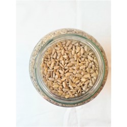 BIO Graines de tournesol