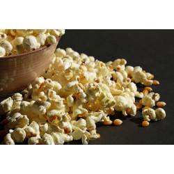 Maïs pour popcorn CH, 3kg