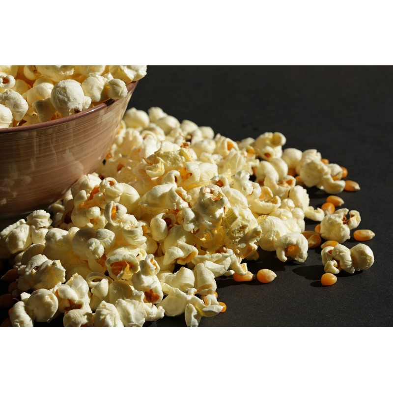 maïs popcorn @oikia.ch maïs popcorn @oikia.ch
