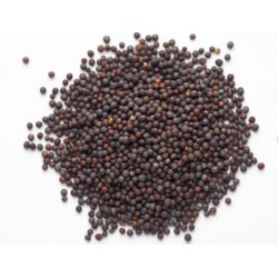 BIO Moutarde noire