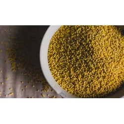 millet doré @oikia.ch