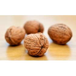 Noix entières suisses