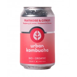 BIO Kombucha (pack de 12)