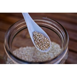 Quinoa blanc CH 2.5-5kg