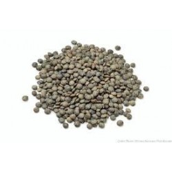 BIO Lentilles vertes 5kg