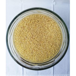 BIO Millet VRAC