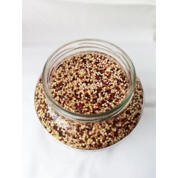 BIO quinoa tricolore VRAC