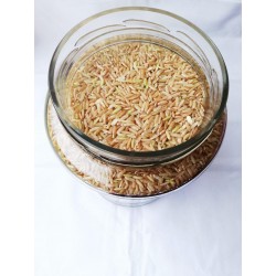 BIO Riz complet long grain