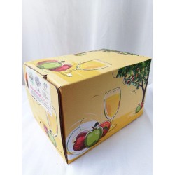 BIO Jus de pommes 5l