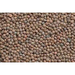 BIO Lentilles brunes 5kg