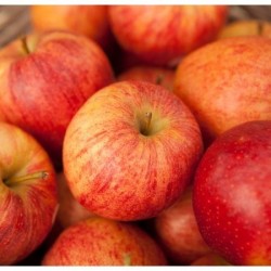 BIO Pommes suisses, 12kg env