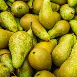 BIO Poires suisses, 6kg env.