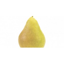 BIO Poires suisses, 6kg env.