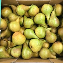 BIO Poires suisses, 6.5kg env.