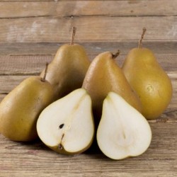 BIO Poires suisses, 6kg env.