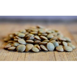 Lentilles vertes CH 2.5 - 5kg