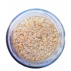 BIO Riz Basmati Complet VRAC